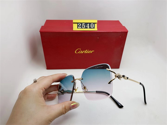 Cartier Sunglass A 033